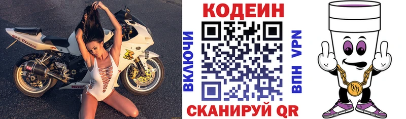 Купить закладки  Петровск-Забайкальский  Codein Purple Drank 